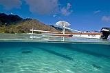 moorea lagon 082009_75